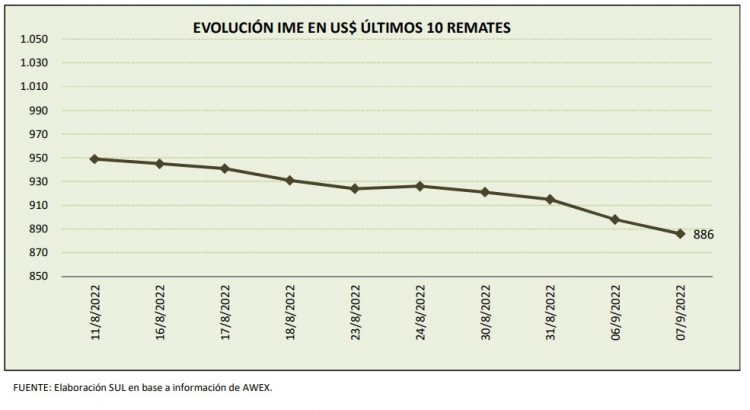 Baja de la lana a valores históricos, US$ 8,86 el promedio