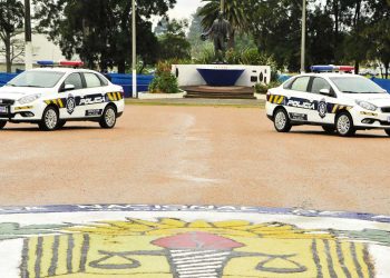 Plan de seguridad: ¿qué opinan los expertos?