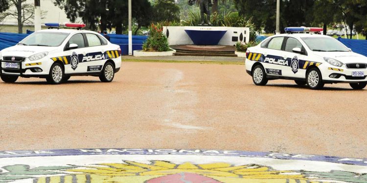 Plan de seguridad: ¿qué opinan los expertos?