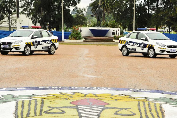 Plan de seguridad: ¿qué opinan los expertos?