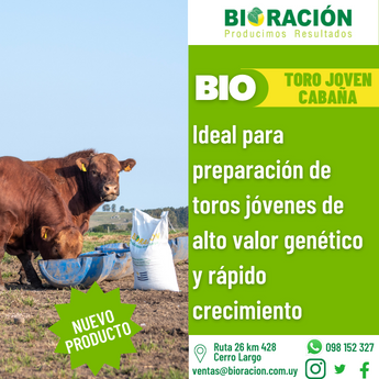 publicidad