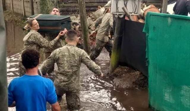 El agravio al Ejército Nacional