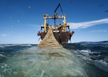 Pradera azul: sobre el desarrollo y explotación productiva de las riquezas marinas