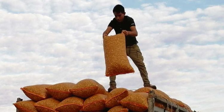 Las 10 de La Mañana: Artigas Rivero Guerra