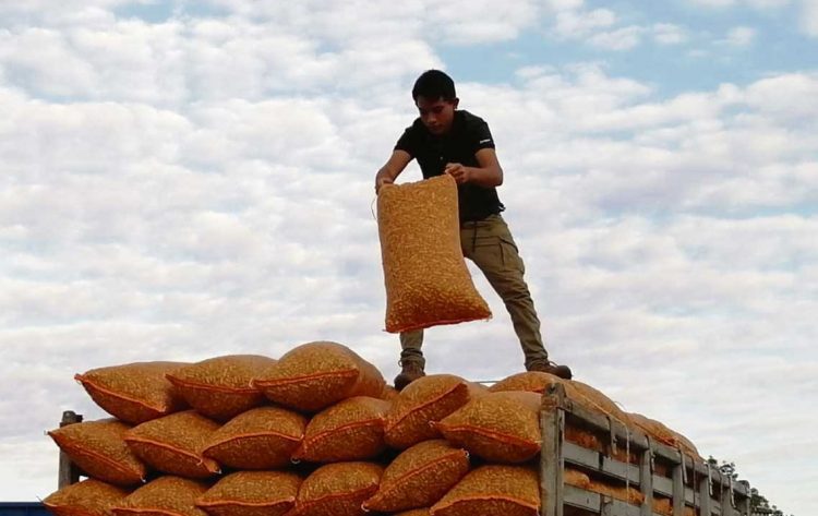 Las 10 de La Mañana: Artigas Rivero Guerra