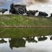 La Carreta de Belloni: el periplo de una obra que casi no llega a Uruguay