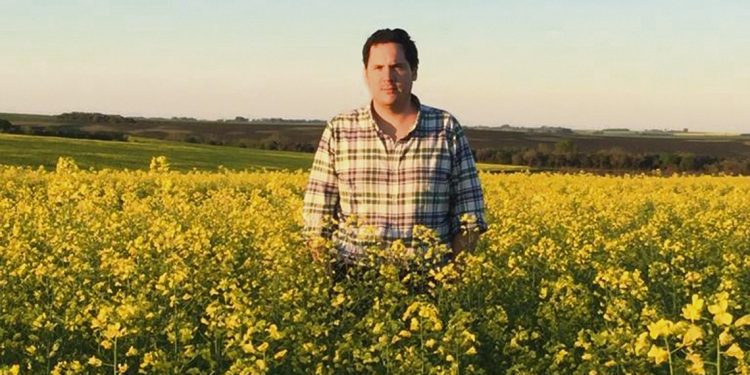 Sin lluvias los productores esperan rendimientos menores de sus cultivos