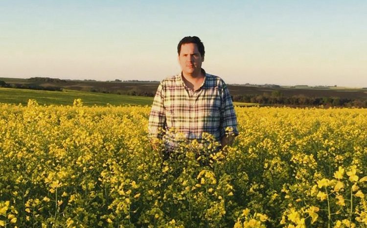 Sin lluvias los productores esperan rendimientos menores de sus cultivos