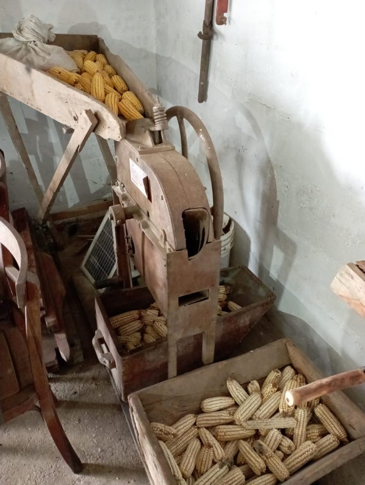 Tres generaciones recuperando la memoria y la tradición del mundo rural
