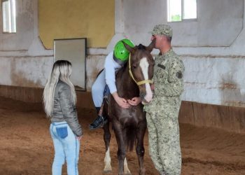 Caballos confiscados fueron destinados a equinoterapia en el Regimiento de Rivera