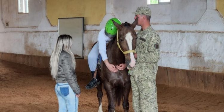 Caballos confiscados fueron destinados a equinoterapia en el Regimiento de Rivera