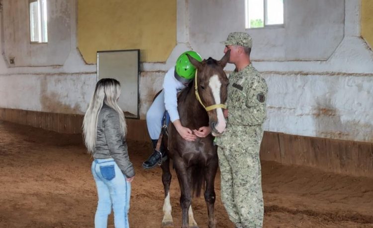 Caballos confiscados fueron destinados a equinoterapia en el Regimiento de Rivera