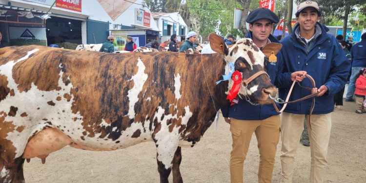 La Cabaña de la Escuela Agraria de Durazno presentó la Gran Campeona en la Expo San José