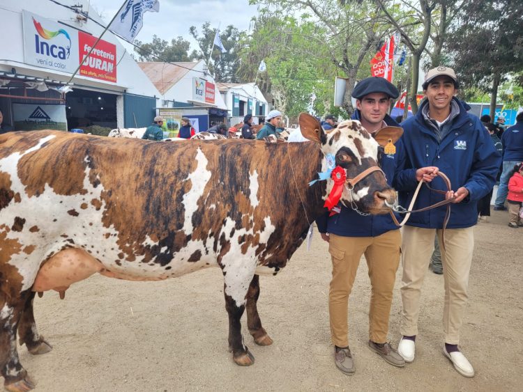 La Cabaña de la Escuela Agraria de Durazno presentó la Gran Campeona en la Expo San José