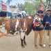 La Cabaña de la Escuela Agraria de Durazno presentó la Gran Campeona en la Expo San José