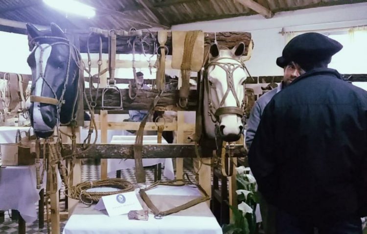 Ganador del Concurso de Guasquería en Rocha: Esta es una actividad que “no es valorizada”