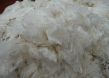 En la semana la lana bajó levemente y se mantuvo arriba de los 8 dólares