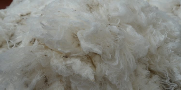 En la semana la lana bajó levemente y se mantuvo arriba de los 8 dólares