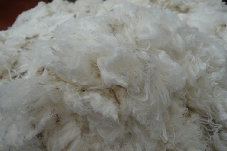 En la semana la lana bajó levemente y se mantuvo arriba de los 8 dólares