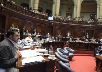 La pobreza de argumentos