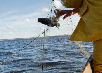 El potencial desaprovechado en los mares uruguayos