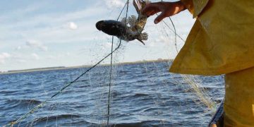 El potencial desaprovechado en los mares uruguayos