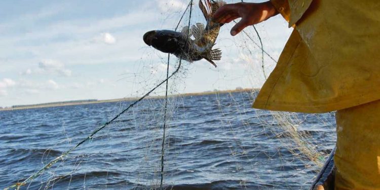 El potencial desaprovechado en los mares uruguayos