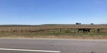 El Ministerio de Ganadería declaró emergencia agropecuaria