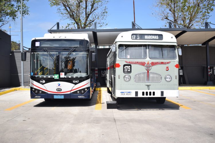 Cutcsa: del mítico bus inglés Leyland a los ómnibus eléctricos de última tecnología