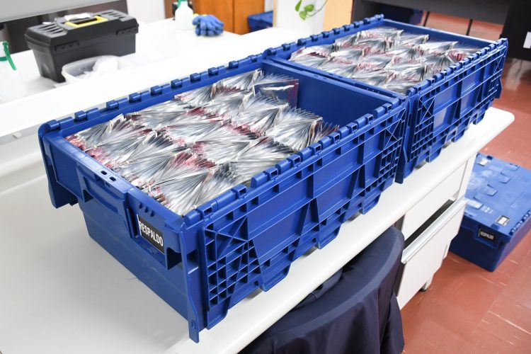 INIA concretó el primer envío histórico de semillas uruguayas de trigo y cebada a la bóveda del fin del mundo en Noruega para su conservación