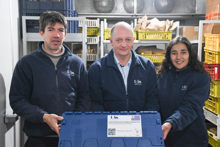 INIA concretó el primer envío histórico de semillas uruguayas de trigo y cebada a la bóveda del fin del mundo en Noruega para su conservación