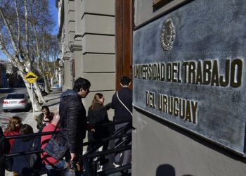 Una estrategia activa para la generación de empleo