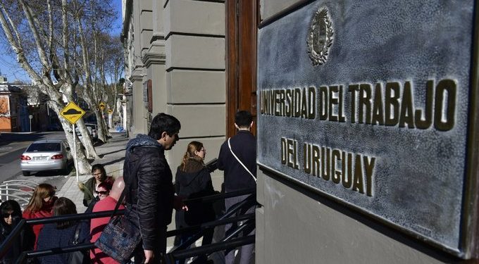 Una estrategia activa para la generación de empleo
