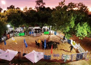 Se realizó la 62ª Expo Feria Ombúes, única de su tipo en Colonia