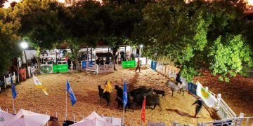 Se realizó la 62ª Expo Feria Ombúes, única de su tipo en Colonia