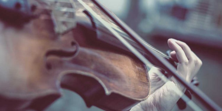 Crisis del Pernambuco: Peligran los arcos de todos los músicos