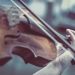 Crisis del Pernambuco: Peligran los arcos de todos los músicos