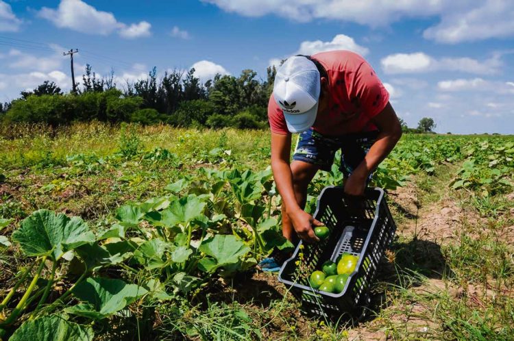 Pequeños productores reclaman por la pérdida de ingresos como proveedores de alimentos en cárceles