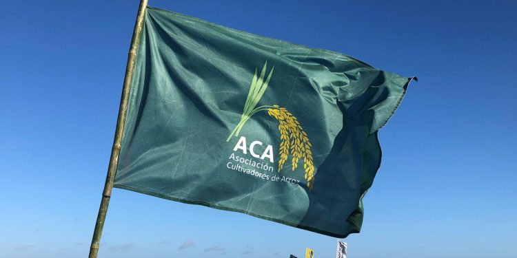 ACA expresó “gran preocupación” por el tipo de cambio  