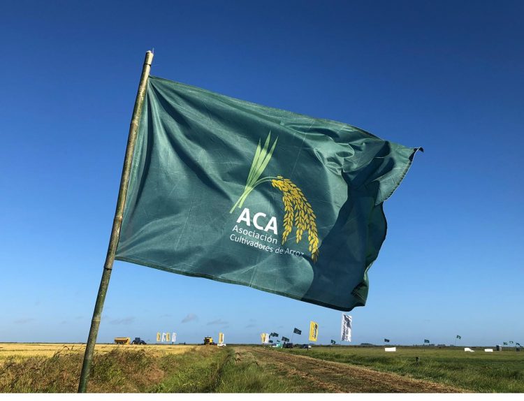 ACA expresó “gran preocupación” por el tipo de cambio  