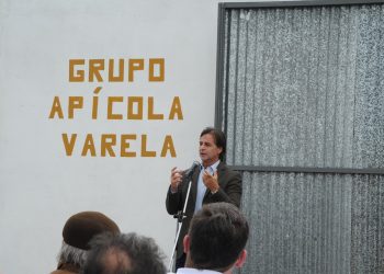 En Uruguay hay 2.600 apicultores que generan exportaciones por US$ 35 millones anuales