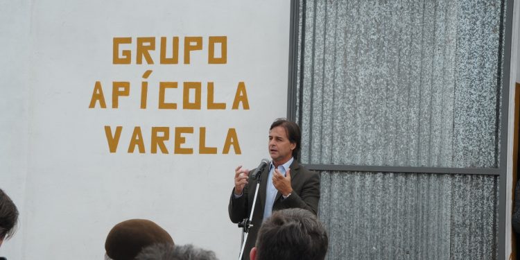 En Uruguay hay 2.600 apicultores que generan exportaciones por US$ 35 millones anuales