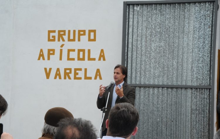 En Uruguay hay 2.600 apicultores que generan exportaciones por US$ 35 millones anuales