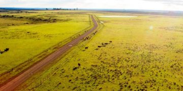El viernes 11 es el Día del Campo Natural, otro patrimonio nacional