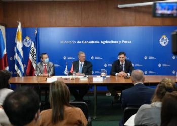 Hay 21 empresas inscriptas para exportar sorgo a China