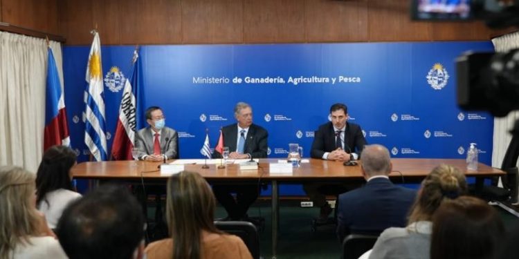 Hay 21 empresas inscriptas para exportar sorgo a China
