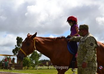 Incautación de caballos y rehabilitación para equinoterapia