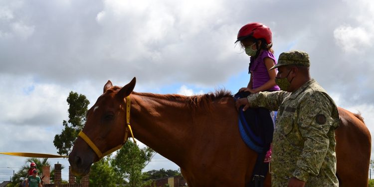 Incautación de caballos y rehabilitación para equinoterapia