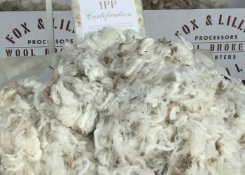 En Australia la lana se mantuvo estable