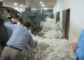El precio promedio de la lana se consolida debajo de los nueve dólares
